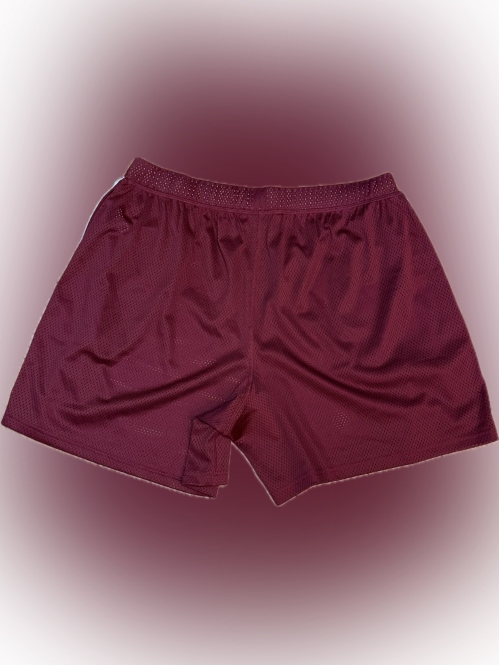 FP Movement by Free People When in Venice Mesh Shorts - Picture 4 of 7